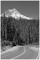 Road and Mt Hood. Oregon, USA ( black and white)