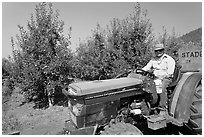 Man on tractor in orchard. Oregon, USA ( black and white)