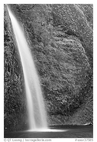 Horsetail Falls. Columbia River Gorge, Oregon, USA (black and white)