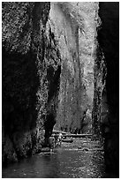 Hikers wading, Oneonta Gorge. Columbia River Gorge, Oregon, USA ( black and white)