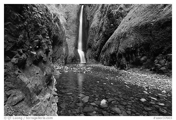 Oneonta Gorge and falls. Columbia River Gorge, Oregon, USA
