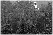 Spruce-Hemlock forest and Umpqua River Lighthouse. Oregon, USA (black and white)