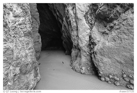 Entrance to sea cave. Bandon, Oregon, USA (black and white)