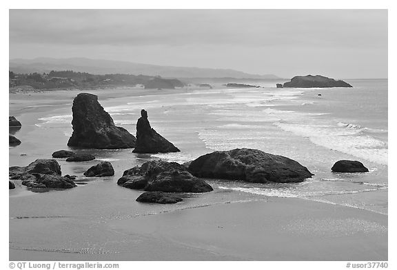 Sea stacks at Face Rock. Bandon, Oregon, USA (black and white)