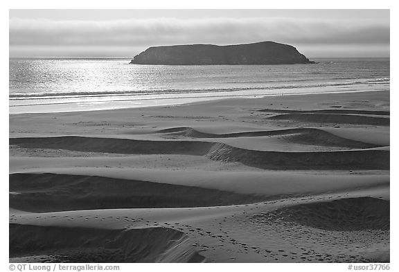 Sand dunes and island, Pistol River State Park. Oregon, USA (black and white)