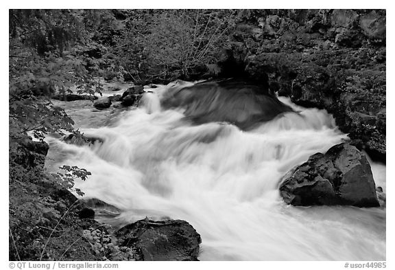 Water flowing from under lava tube. Oregon, USA (black and white)