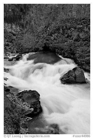 Water flowing from under basalt tube. Oregon, USA (black and white)