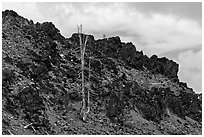 Lava outcrop, Deschutes National Forest. Oregon, USA ( black and white)