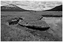Meadow, South Sister, Deschutes National Forest. Oregon, USA ( black and white)