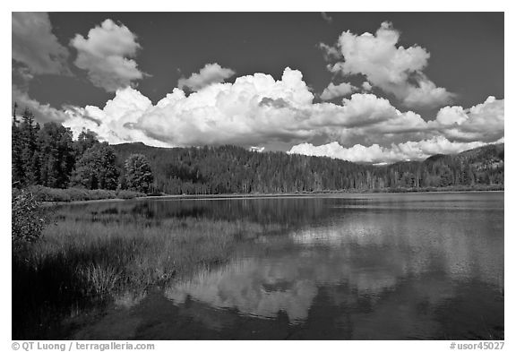 Scott Lake. Oregon, USA (black and white)