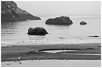 Pool and rocks, Harris Beach State Park. Oregon, USA ( black and white)