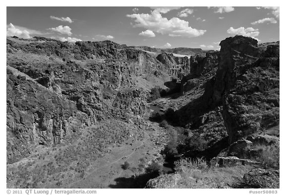 Succor Creek canyon. Oregon, USA (black and white)