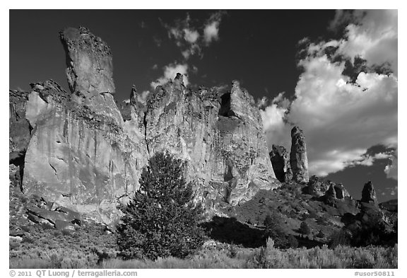 Roostercomb Rock, Leslie Gulch. Oregon, USA (black and white)