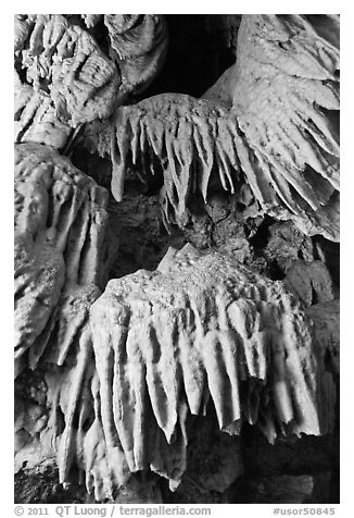 Stalactites, Oregon Caves National Monument. Oregon, USA (black and white)