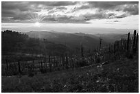 Sun setting over Burned forest, Grizzly Peak. Cascade Siskiyou National Monument, Oregon, USA ( black and white)