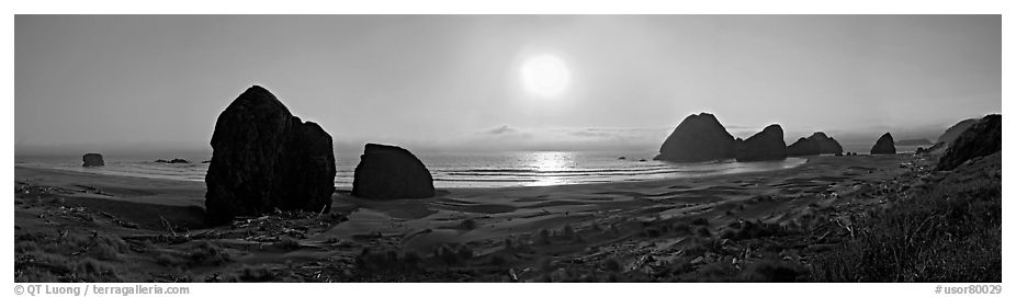 Pacific coastal scenery with setting sun, Pistol River State Park. Oregon, USA (black and white)