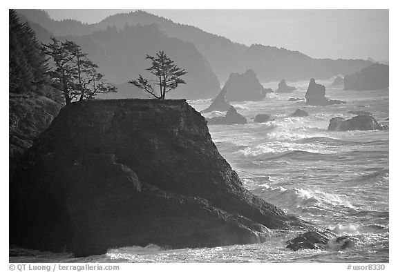 Coastline with rocks and seastacks, Samuel Boardman State Park. Oregon, USA (black and white)
