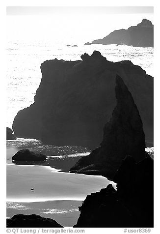 Seastacks, reflections, and beach, late afternoon. Bandon, Oregon, USA (black and white)