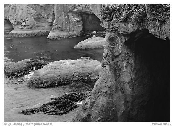 Sea caves and cliffs, Cape Flattery, Olympic Peninsula. USA (black and white)