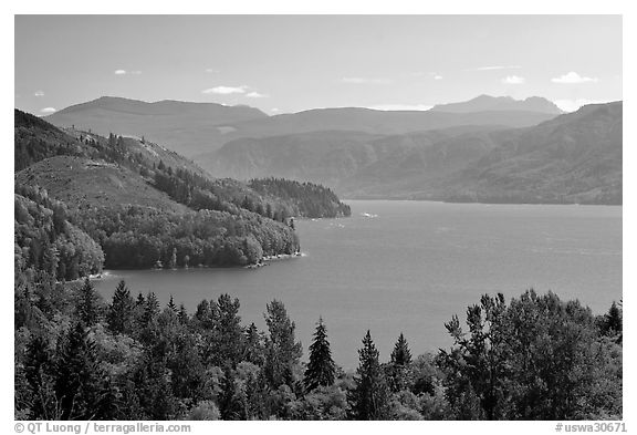Riffe Lake. Washington (black and white)