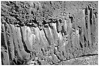 Columns of hardened basalt in lava cake, Lava Canyon. Mount St Helens National Volcanic Monument, Washington ( black and white)