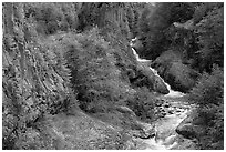 Basalt columns and Muddy River in Lava Canyon. Mount St Helens National Volcanic Monument, Washington ( black and white)