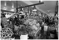 Flowers for sale in Main Arcade daystall,. Seattle, Washington (black and white)