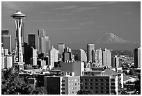 Seattle skyline with the Needle and Mt Rainier, afternoon. Seattle, Washington ( black and white)