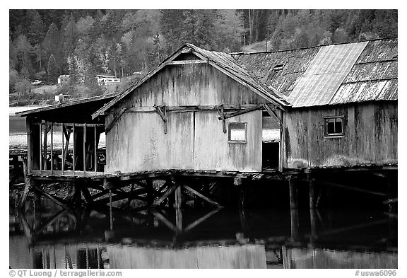 Old wooden pier, Olympic Peninsula. Olympic Peninsula, Washington (black and white)