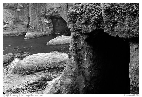 Sea caves and cliffs, Cape Flattery, Olympic Peninsula. Olympic Peninsula, Washington (black and white)