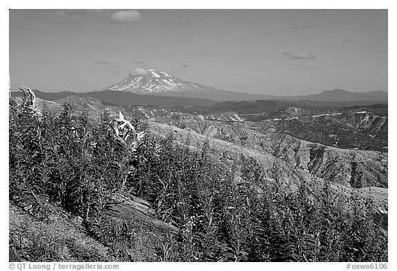 View over Cascade range with Snowy volcano. Mount St Helens National Volcanic Monument, Washington
