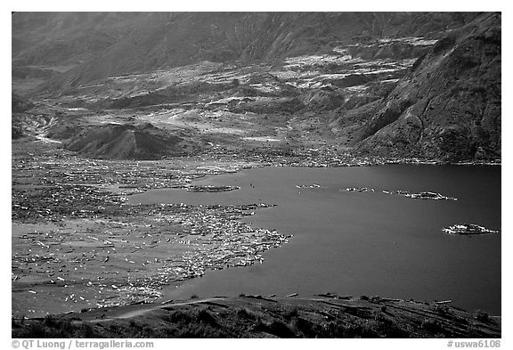 Spirit Lake, partly covered with floating logs. Mount St Helens National Volcanic Monument, Washington (black and white)