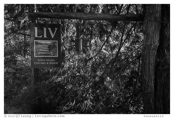 Lopez Island Vineyard and Winery sign, Lopez Island. Washington (black and white)