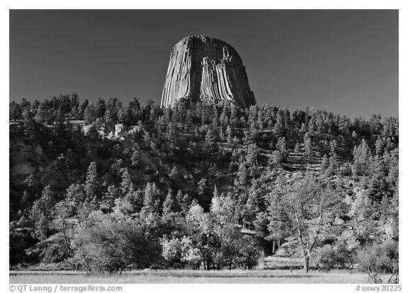 Devil's Tower rising above forested slope. Wyoming, USA (black and white)