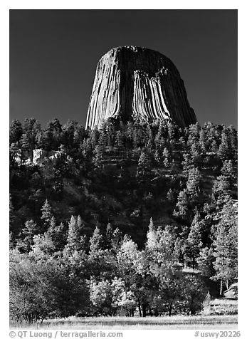 Devils Tower in autumn, Devils Tower National Monument. Wyoming, USA (black and white)