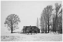 Miller House during snow storm, National Elk Refuge. Jackson, Wyoming, USA ( black and white)