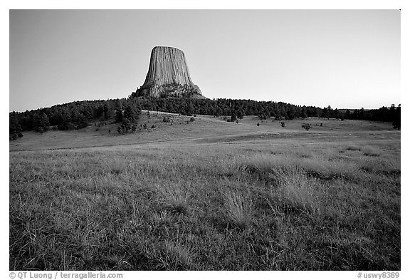Devils Tower, sunset, Devils Tower National Monument. Wyoming, USA (black and white)