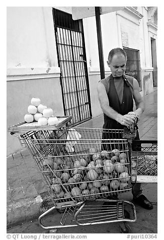 A man peels oranges to make an orange drink, which is drunk from the fruit itself, Ponce. Puerto Rico (black and white)