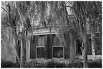 Spanish moss covered trees and windows. Selma, Alabama, USA ( black and white)