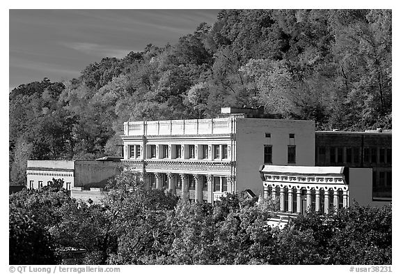 Historic buildings and trees in fall foliage. Hot Springs, Arkansas, USA (black and white)