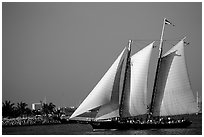 Historic sailboat. Key West, Florida, USA (black and white)
