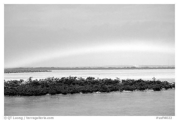 Rainbow above mangroves, Key West. The Keys, Florida, USA