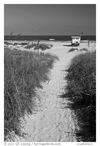 Sandy path leading to beach, Jetty Park. Cape Canaveral, Florida, USA (black and white)