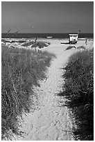 Sandy path leading to beach, Jetty Park. Cape Canaveral, Florida, USA ( black and white)