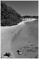 Beach on the Matanzas River, Fort Matanzas National Monument. St Augustine, Florida, USA (black and white)