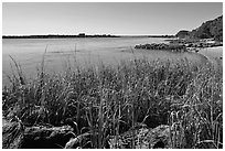 Matanzas River, and fort in the distance, Fort Matanzas National Monument. St Augustine, Florida, USA ( black and white)