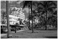 Palm trees and Art Deco hotels, South Beach, Miami Beach. Florida, USA (black and white)