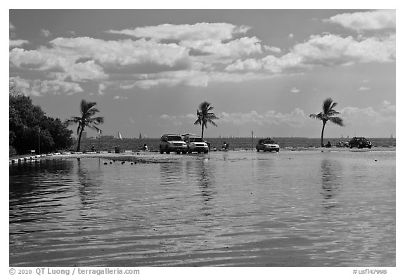 Flooded lot and Biscayne Bay, Matheson Hammock Park, Coral Gables. Florida, USA