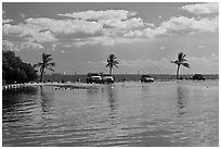 Flooded lot and Biscayne Bay, Matheson Hammock Park. Coral Gables, Florida, USA ( black and white)