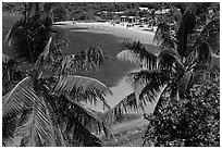 Beach seen from above through palm trees, Bahia Honda Key. The Keys, Florida, USA ( black and white)